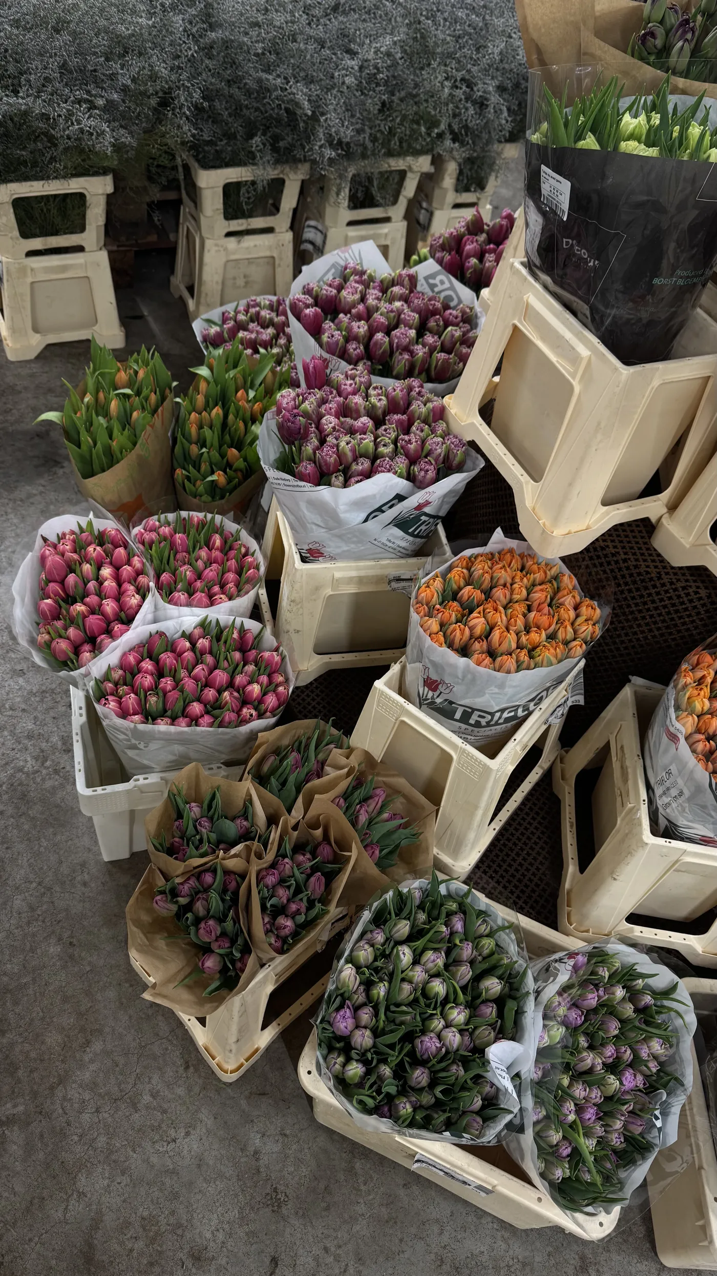 Bukett med olika blommor
